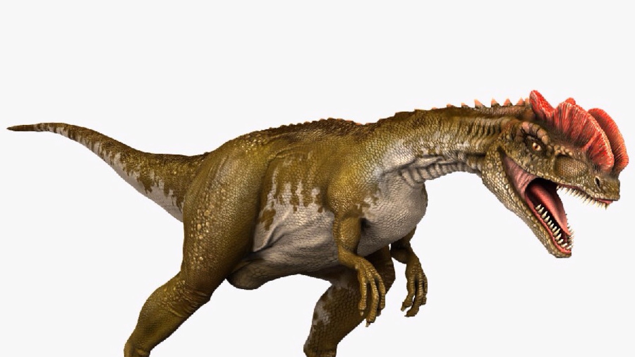 live dino