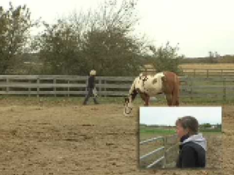 Elaine Cardillo Catching Your Horse