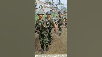 Liên đoàn 81 biệt cách dù |     Danh tính của người đi đầu tiên trong bức hình của tập đoàn 4