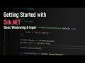 Getting started with silknet on c net 6