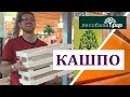 Ящики-вазоны для цветов, растений: деревянные кашпо