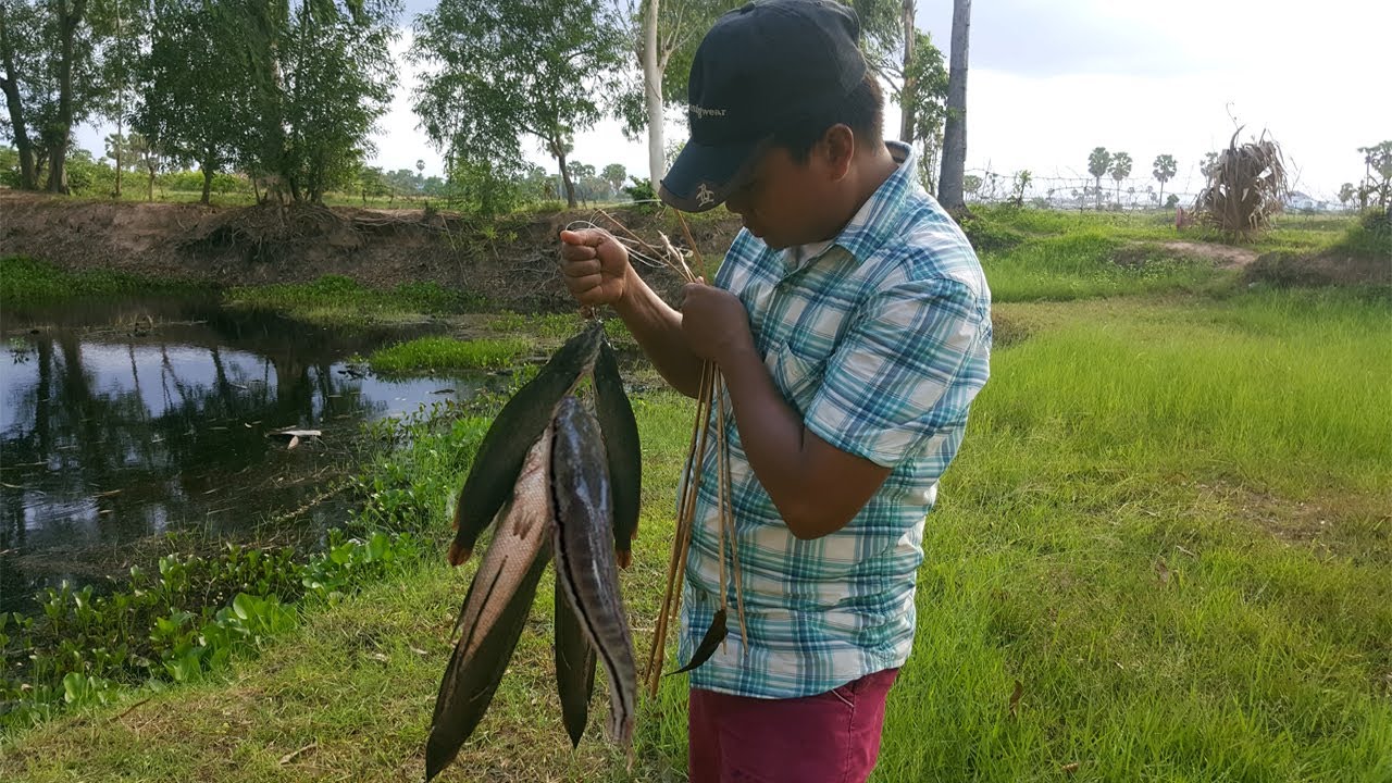 Wow! Amazing Man Make Easy Fish Trap To Catch A Lot Of Fish-Smart Boy Catch Fish With Fish Trap