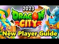 Dragon City Beginner