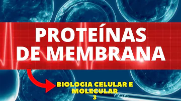 Por que se diz que as membranas são seletivamente permeáveis?