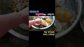 2만원으로 최고급 회를 사먹어보자! 처음보는 해산물이 …