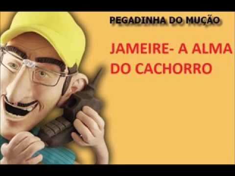 PEGADINHA DO MUÇÃO- JAMEIRE E A ALMA DO CACHORRO - YouTube