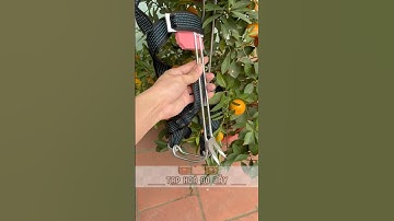 Guốc trèo cây 2 đinh inox giá rẻ #guoctreocay