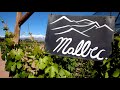 Мальбек (Malbec) француз с латиноамериканской душой