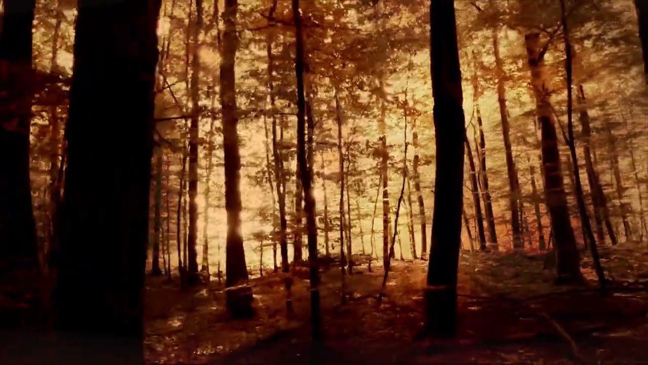 Watch Blank & Jones feat. Mick Roach - Christian (Official Video) on YouTube