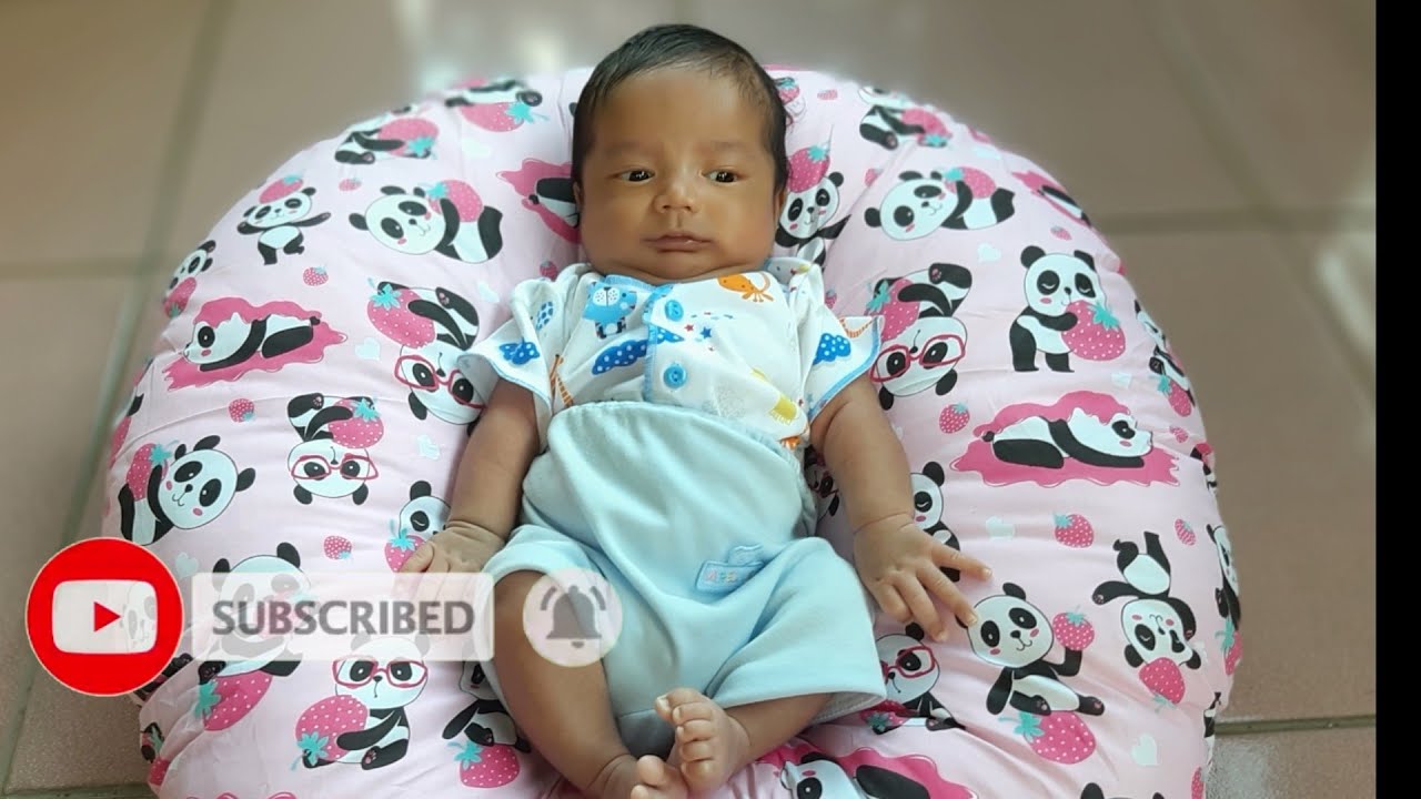 Review Sofa Bayi