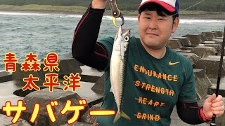 釣り素人と青物を狙いに行く 令和2年8月上旬 青森県 太平洋 Youtube