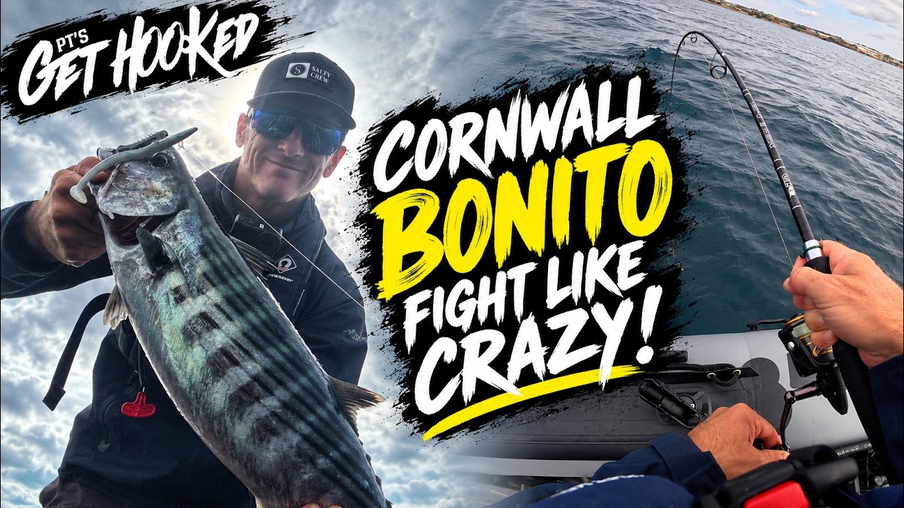 Cornwall Bonito Fight Like Crazy!