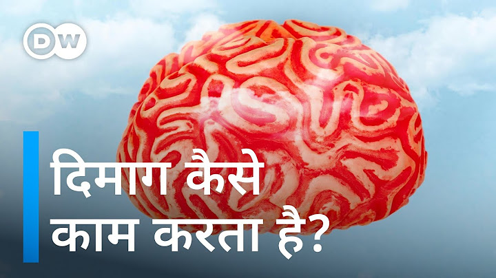 Know what goes on in the mind [How does our brain work?]