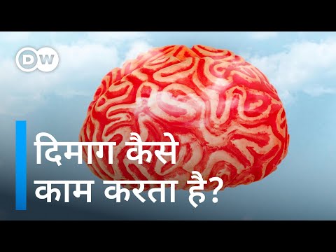 वीडियो: मामले के ऊपर दिमाग क्या होता है?