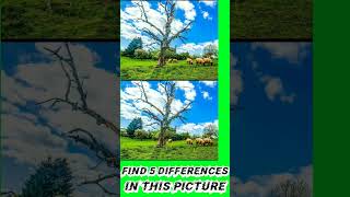 Find 5 Difference In This Picture #shorts #ShortVideo