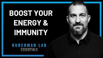 BOOST YOUR ENERGY & IMMUNE SYSTEM WITH CORTISOL & ADRENALINE | ANDREW HUBERMAN