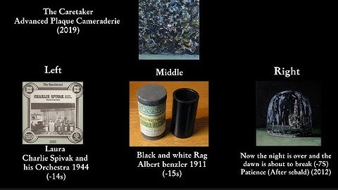 The Caretaker - 05 - Advanced Plaque Camaraderie (Sample Guide)