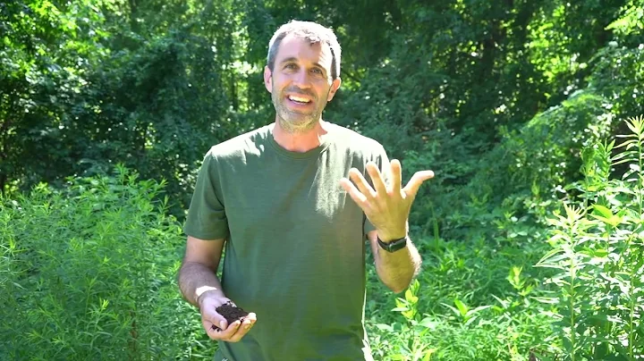 Dos and Don'ts for Horse Manure in the Garden and the Compost Pile