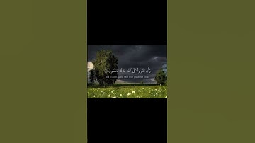 اكتب شيء تؤجر عليه ♡ #سورة_البقرة #مشاري_العفاسي #القرآن_الكريم #quran