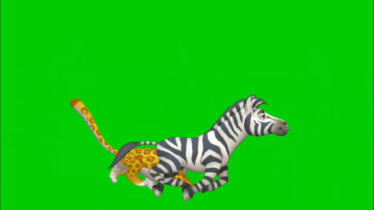 animal running gif green screen YouTube