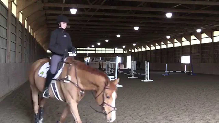 Group 2: 2'9"-3' Jumpers at the Linda Sheridan Jum...