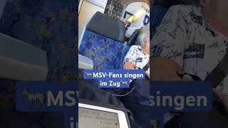 Nur der MSV! | Fangesang #msvduisburg #msv #fussball
