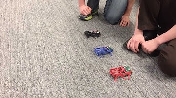 Robots running straight on carpet - 1st attempt