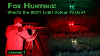Whats The Best Light Colour For Fox Hunting?