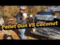 Pellet Gun VS Coconut