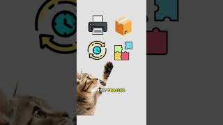 How to learn coding, explained by cats #cat #code #coding #learnprogramming #beginnercoder