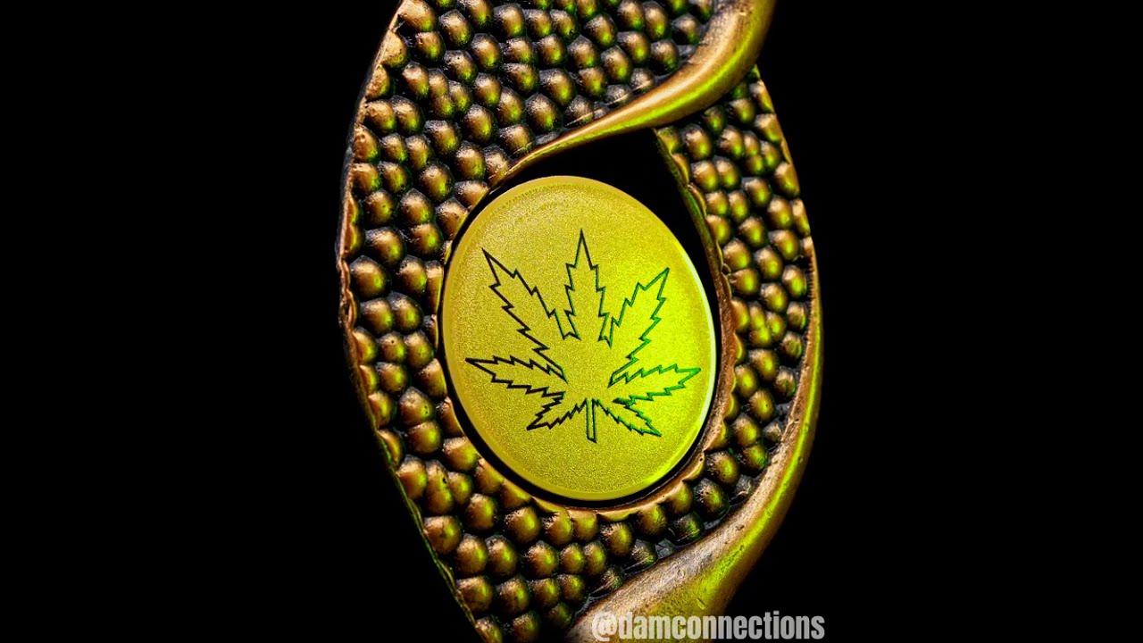 Bio Haze High Life Cup 2020 From Coffeeshop Relax | Dam Connections