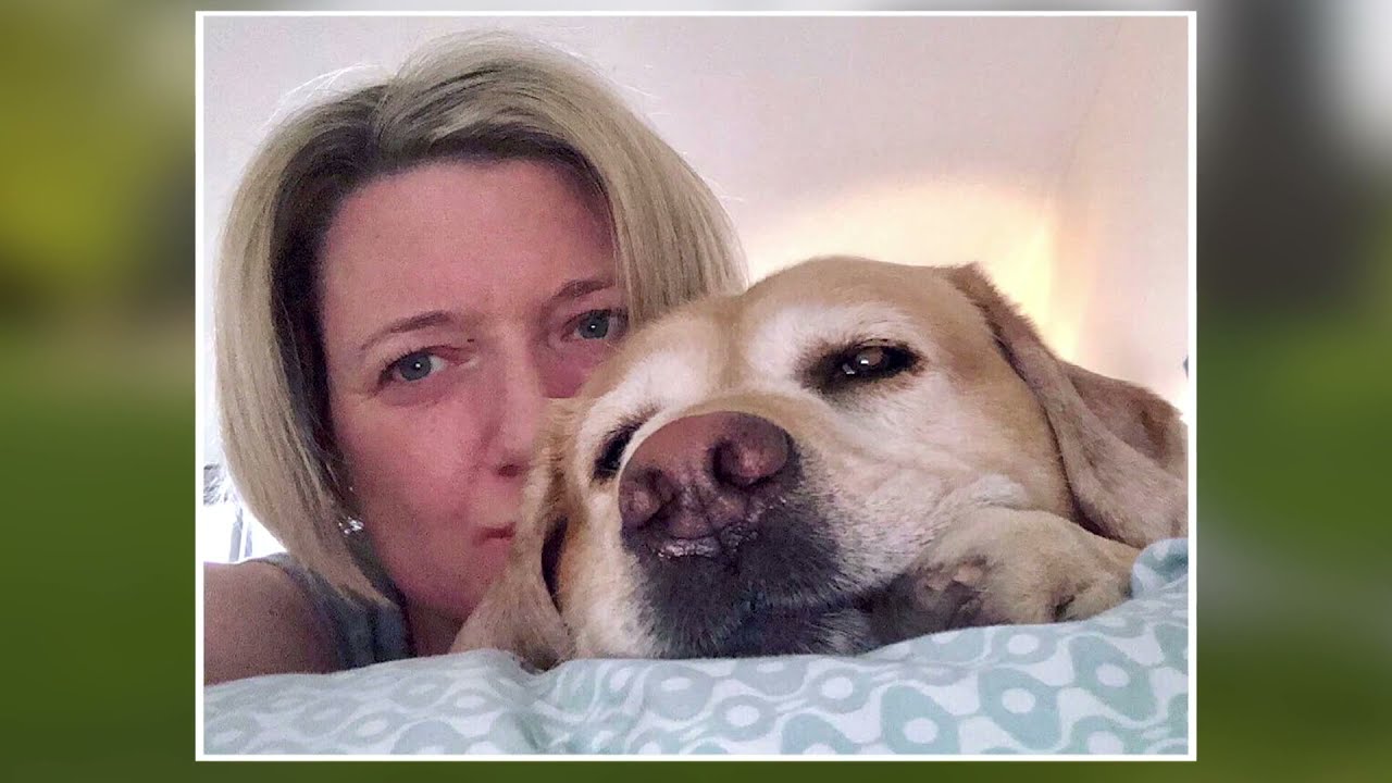 Lions Foundation of Canada Dog Guides | AMI-tv Documentary