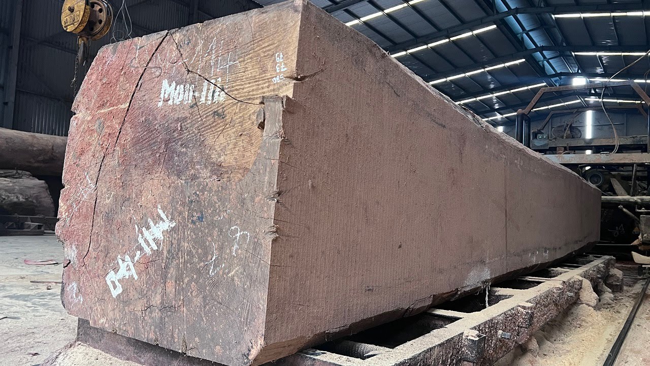 Amazing Fastest Large Wood Sawmill Machine Working | Sawn Wood In The ...