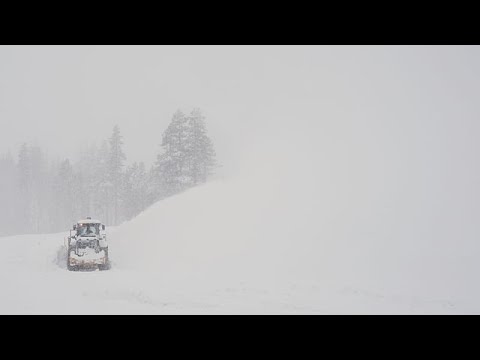 ������ ��� 8 ������� ���� �� ������ ���� �� ����������
 - نشر قبل 9 دقيقة