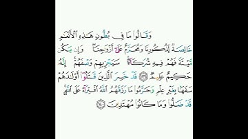 6 - سورة الأنعام ١٣٩-١٤٠ - محمود خليل الحصري