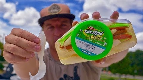 BERKLEY GULP TIPS to SAVE MONEY and CATCH MORE FISH - SALTWATER FISHING HOW TO