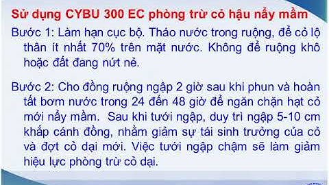 Thuốc trừ cỏ đuôi phụng, cỏ lồng vực và cỏ nước mặn CYBU