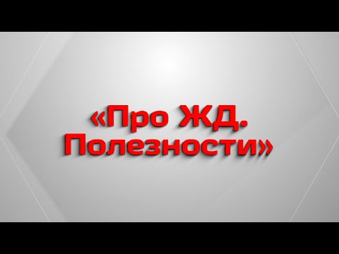Как перевезти домашнее животное в электричке?