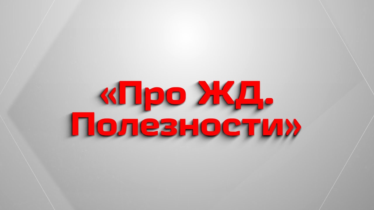 Как перевезти домашнее животное в электричке?