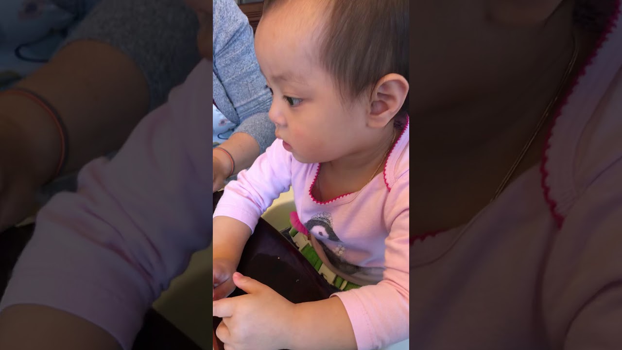 When baby sees that mommy duck lost all her ducklings