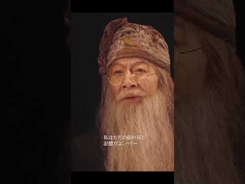 ダンブルドアが息子アルバス ポッターの身を案じるハリー ポッターを諭します