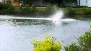 Pro boat Impulse 26