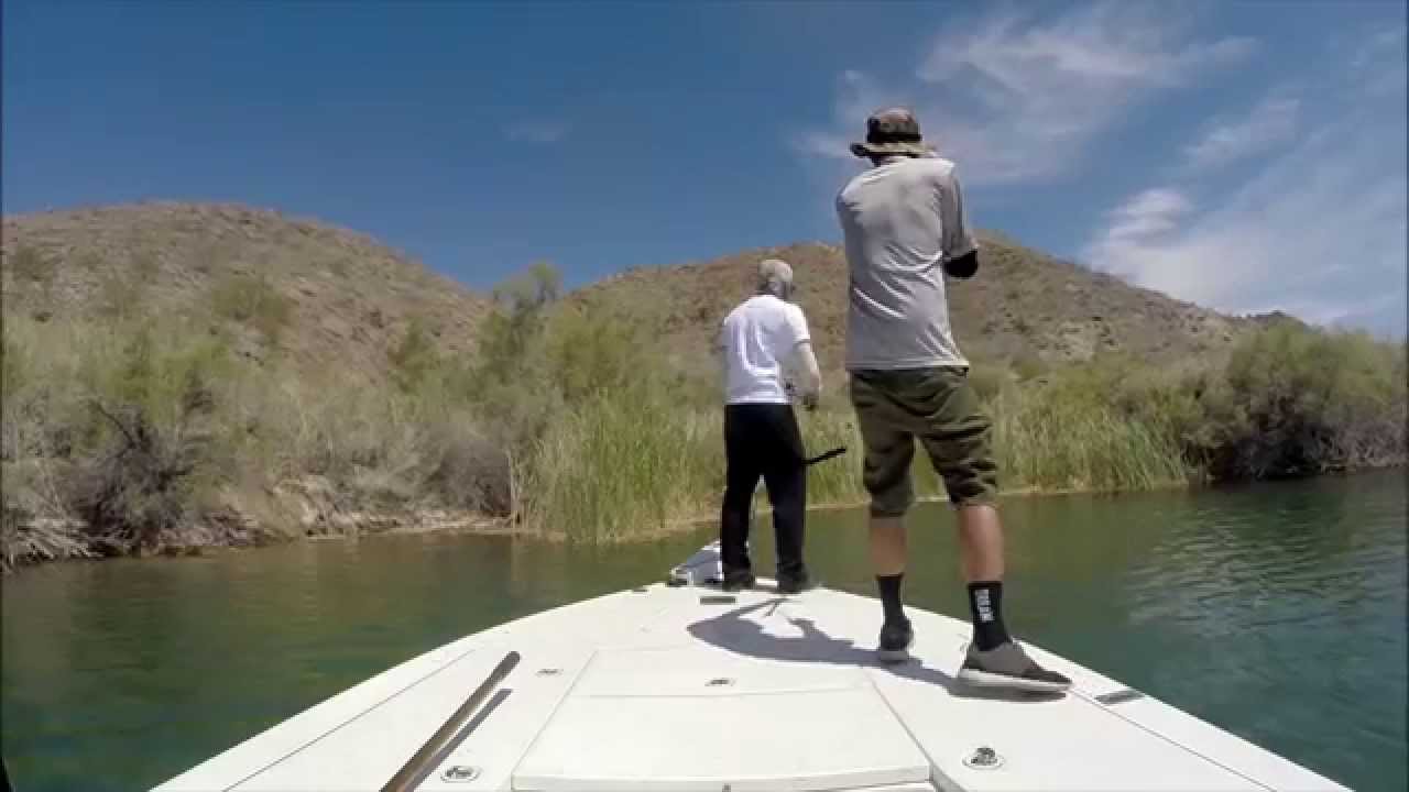 bass fishing at night Big Bass Dreams Frog Fishing on Havasu - 