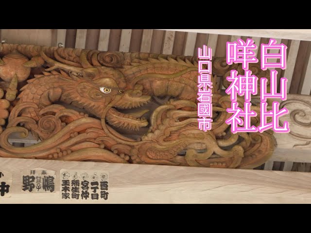 海千山千會 竈門神 POLKADOT STINGRAY × Kamikaze Douga 