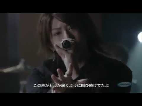 ViViD BLUE Live