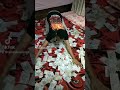 Oromo Tiktok Ittin Buhara 538 8jorji Abu 