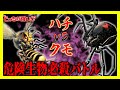 【どっちが強い】危険生物の必殺バトル！ハチvsクモの虫界最強対決に勝つのは...？【漫画】