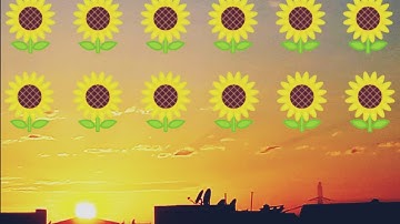 سورة الجن برواية ورش بصوت القارئ ربيع حفظه الله