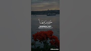 سورة العنكبوت بصوت القارئ عبد الرحمن مسعد #قرآن
