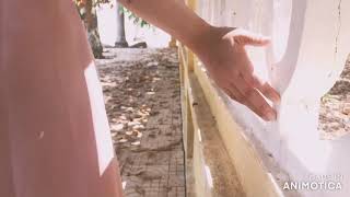 Soft Music Status Whatsapp screenshot 4